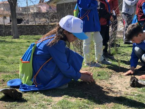 Şeyh Şaban İlkokulu