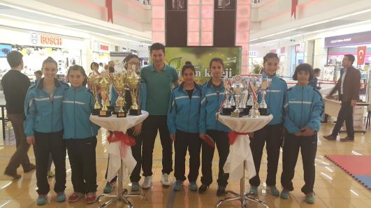 Sportif Başarılar