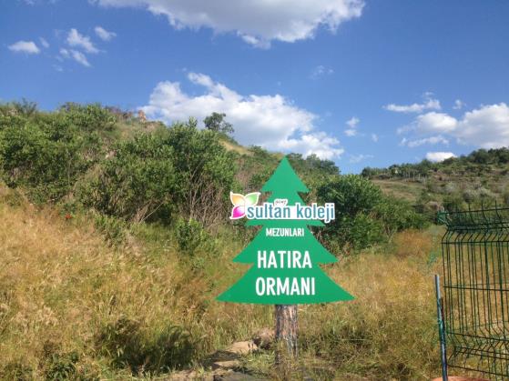 Mezunlarımız