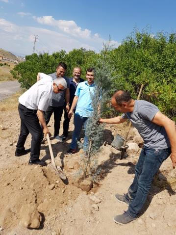 Mezunlarımız