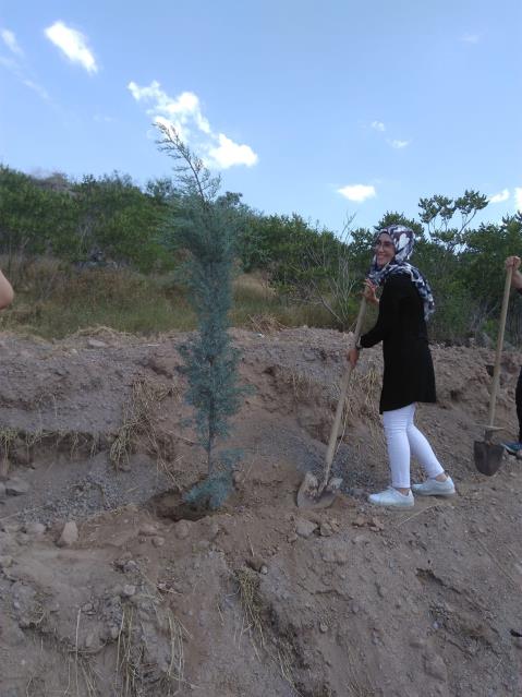 Mezunlarımız